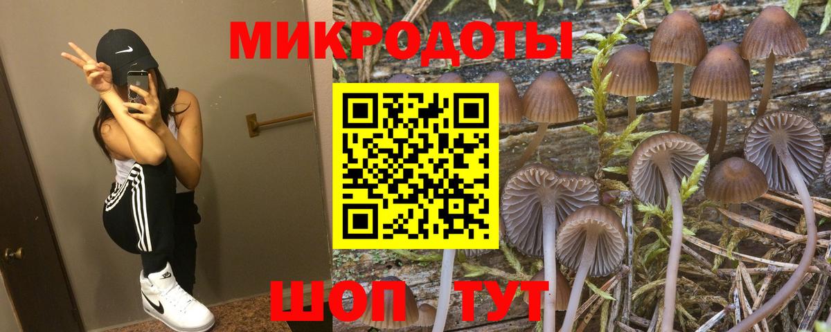 Тихвин  Галлюциногенные грибы Magic Shrooms  Вход с VPN  Галлюциногенные грибы Cubensis 